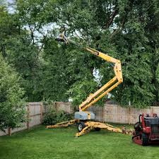 Best Lawn Mowing  in Brodhead, WI
