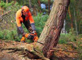 Soil Testing and Treatment in Brodhead, WI