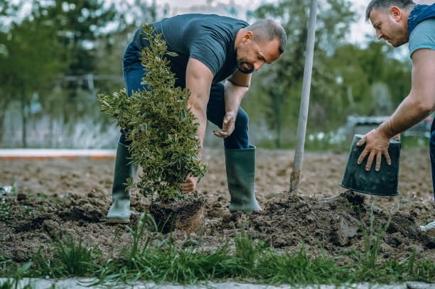 Best Weed Control  in Brodhead, WI