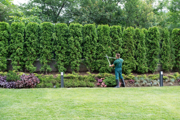 Best Landscape Design and Installation  in Brodhead, WI