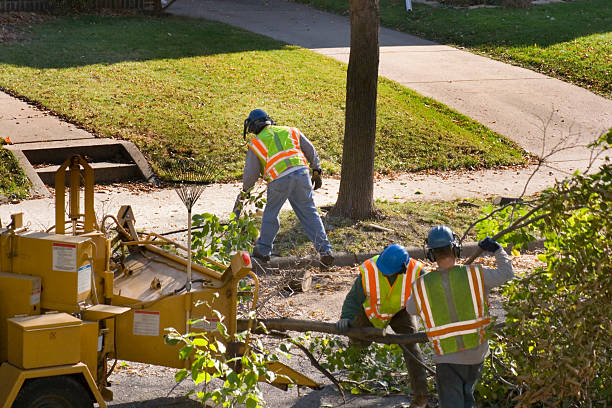Best Aeration Services  in Brodhead, WI