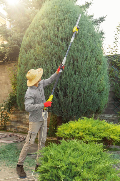 Best Seasonal Cleanup (Spring/Fall)  in Brodhead, WI